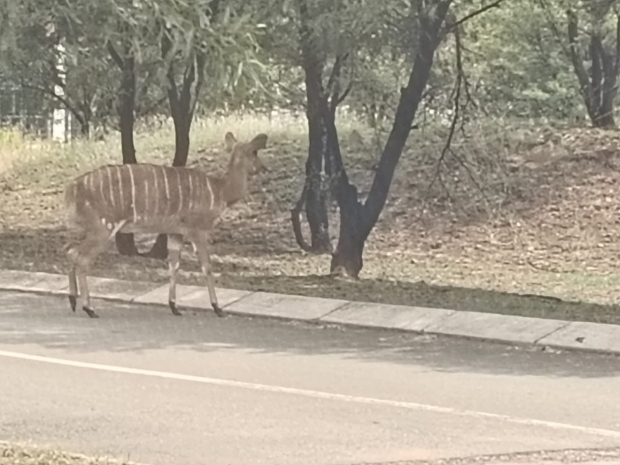 Commercial Property for Sale in Hartbeesfontein North West